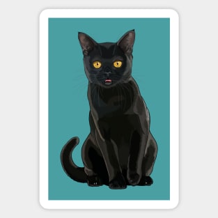 Black Bombay Blep Cat Magnet